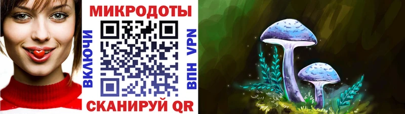 Галлюциногенные грибы Psilocybe  Сокол 